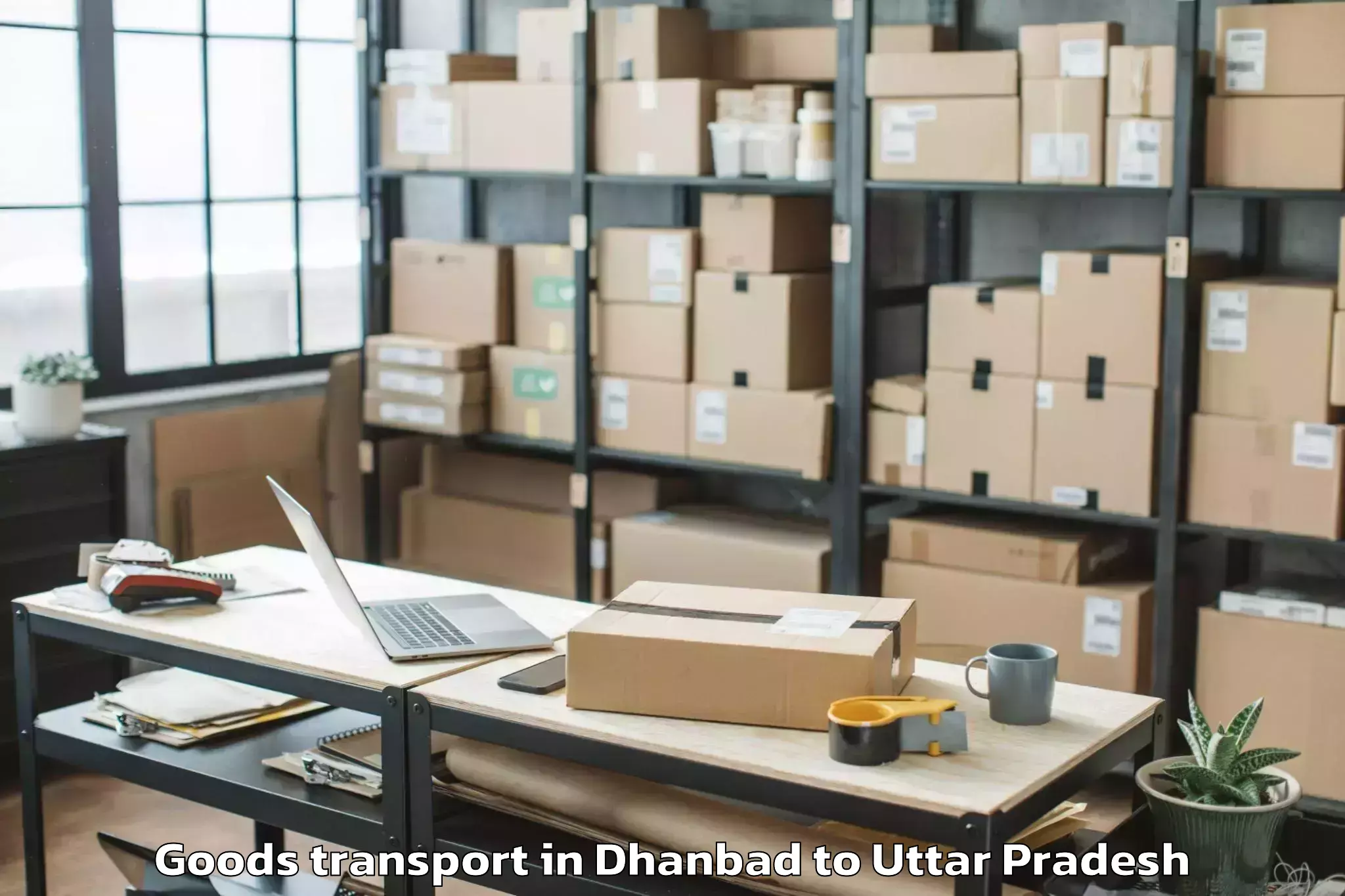 Trusted Dhanbad to Etawa Goods Transport